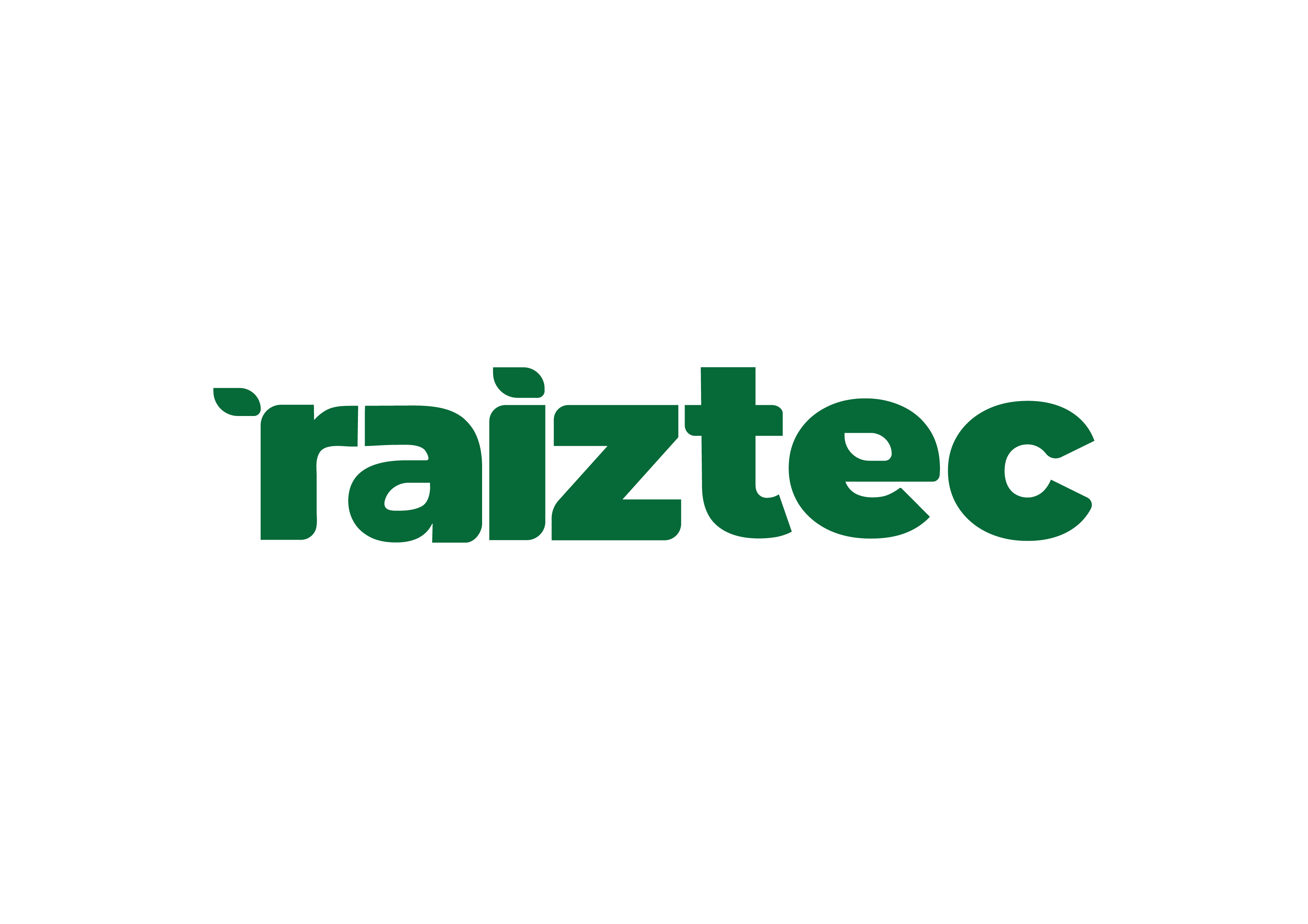 Raiztec informática